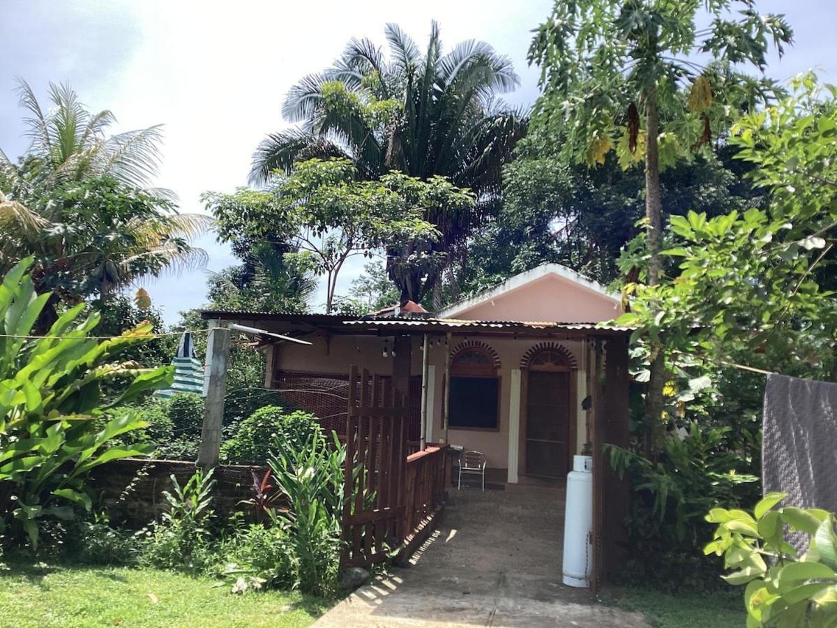 Exotic Flower Cabin2 Pool Agua Bendita Buitenkant foto